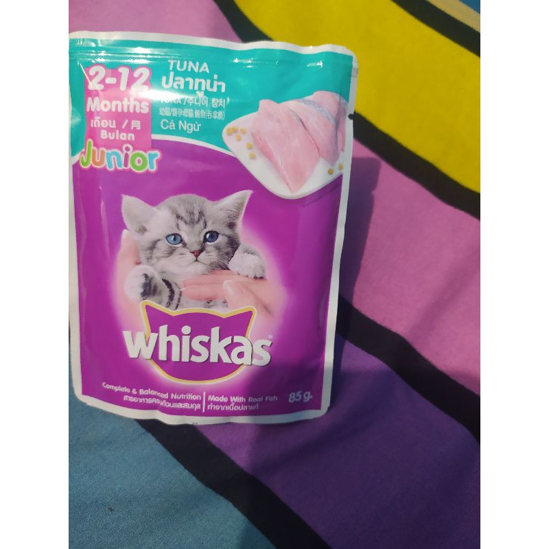 Jual whiskas junior sachet 85 gram kitten tuna Shopee Indonesia