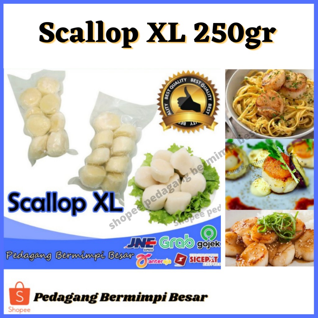 Jual US Scallop Besar 250gr Scallop Jumbo Scallop XL Kerang