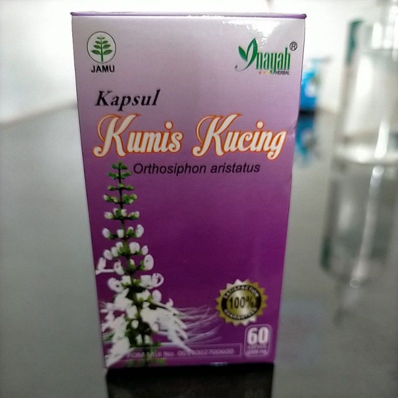 Jual Kapsul Kumis Kucing INAYAH / Obat Herbal Mengatasi Infeksi Saluran