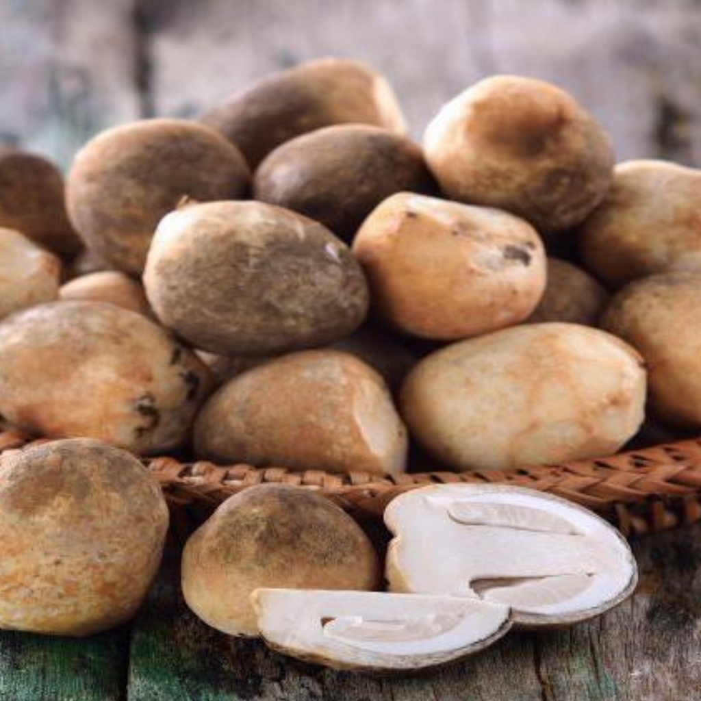 Jual Jamur Merang 100 gram per pack Jamur Tumisan Shopee Indonesia