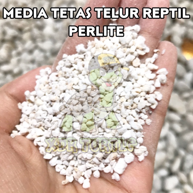 Jual PERLITE VERMICULITE 1KG MEDIA TETAS TELUR REPTIL SULCATA TORTO