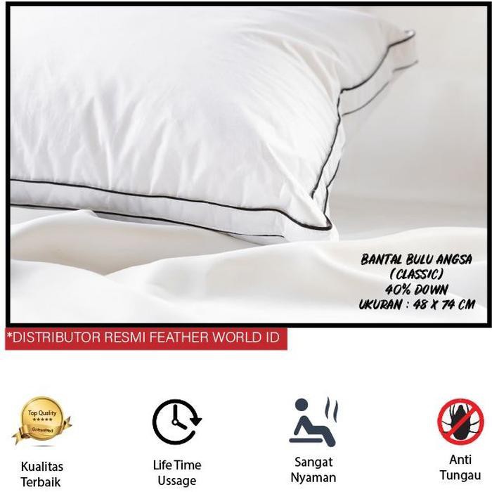 Jual lisayohanes00025 Bantal / Pillow dari Bulu Angsa Kualitas Hotel