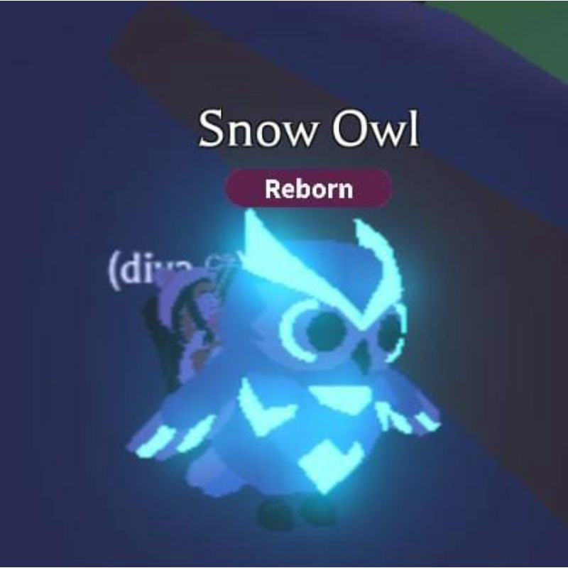 Jual NFR ADOPT ME PETS trex,dragon,golden rat,ninja monkey,dodo