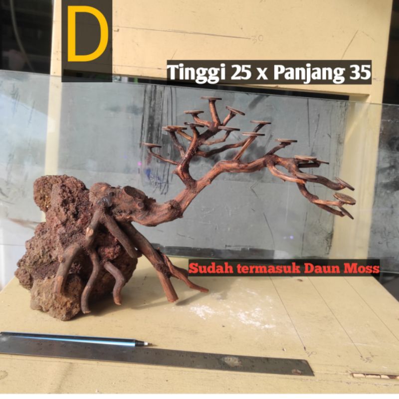 Jual Bonsai Aquascape 40cm gratis daun moss akuarium Shopee Indonesia