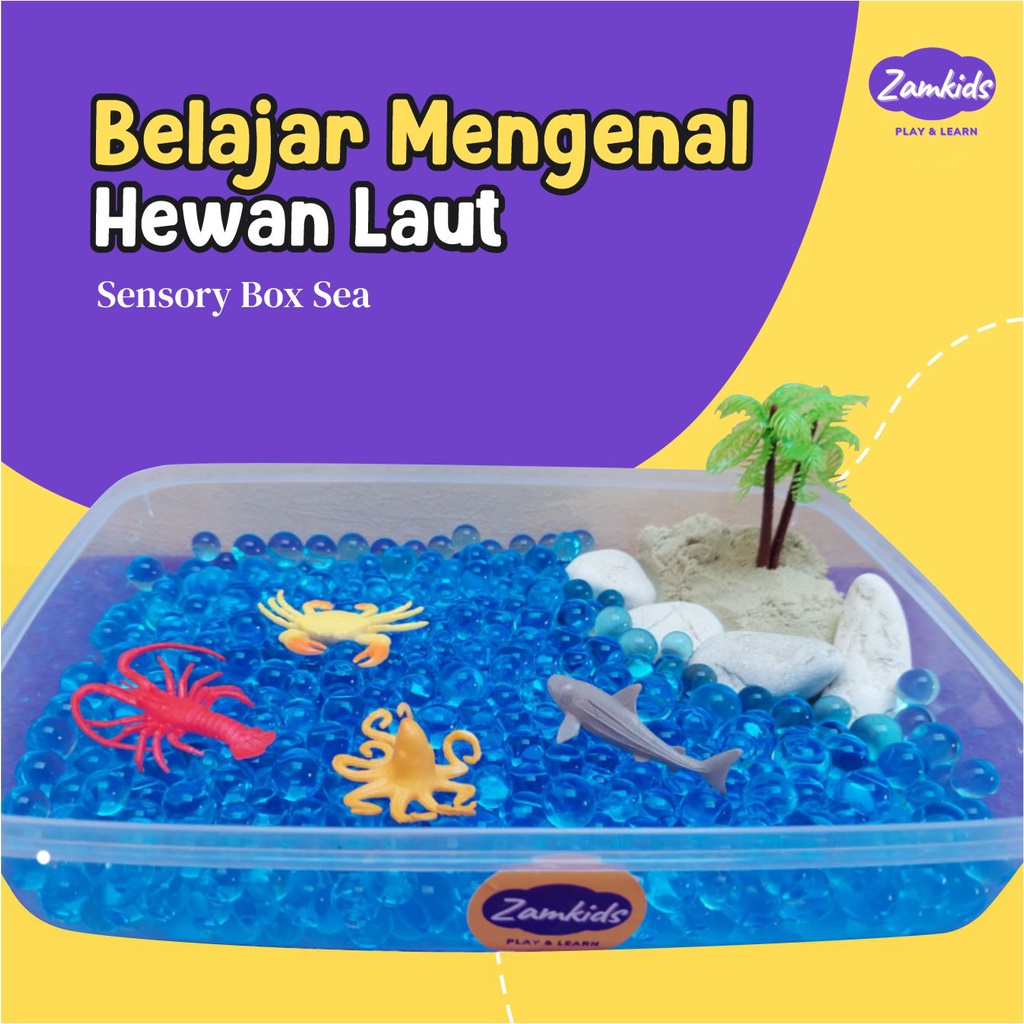 Jual SENSORY PLAY MONTESSORI MONTESORI BOX PLAY MAINAN EDUKASI ANAK