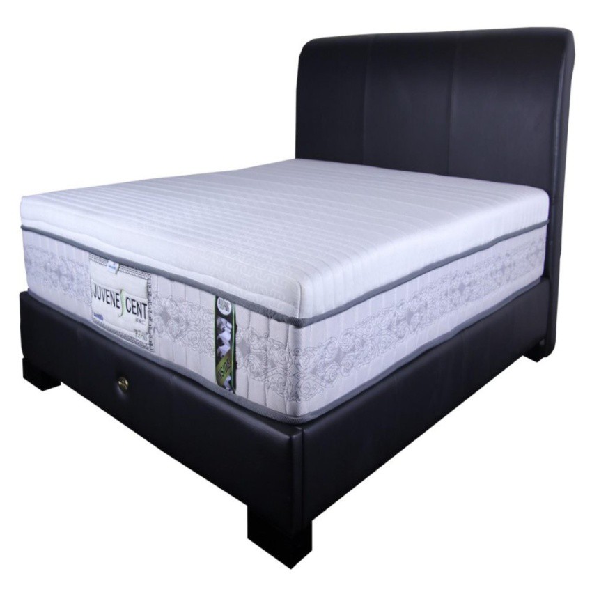 Jual Dunlopillo Plasspring ORTHOPEDIC Juvenescent Bed 180x200 Mattress
