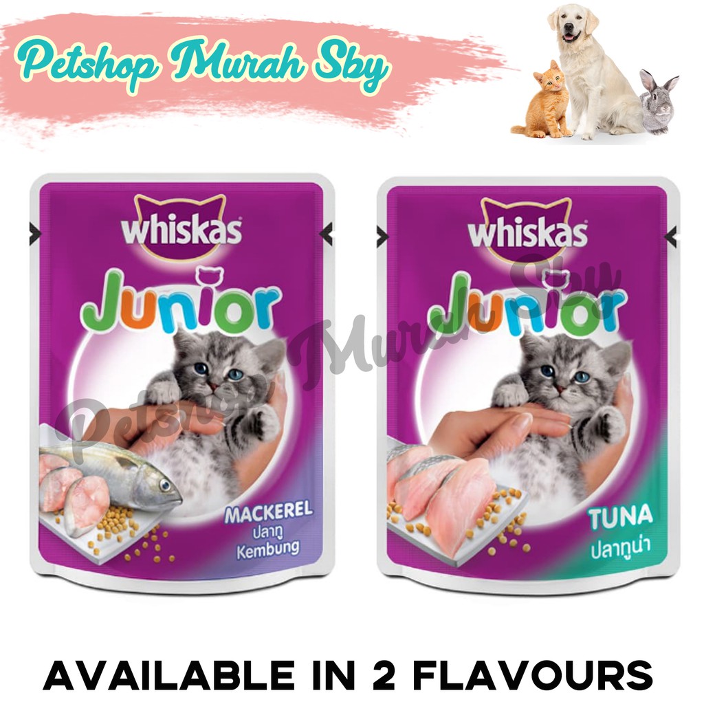 Jual Whiskas Pouch Junior Makanan Anak Kucing Basah Saset Kitten