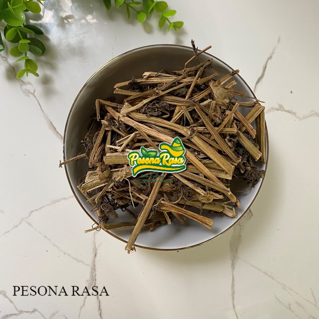 Jual BARU !! Daun Batang Dan Buah Ciplukan Kering Herbal / Dried Morel