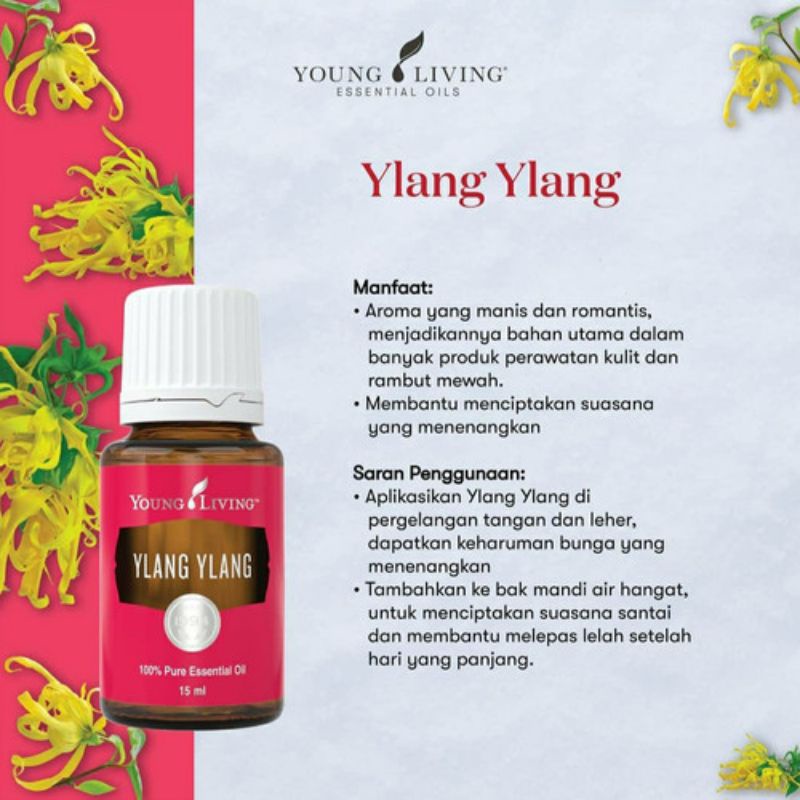 Jual Ylang Ylang Young Living Essential Oil Shopee Indonesia