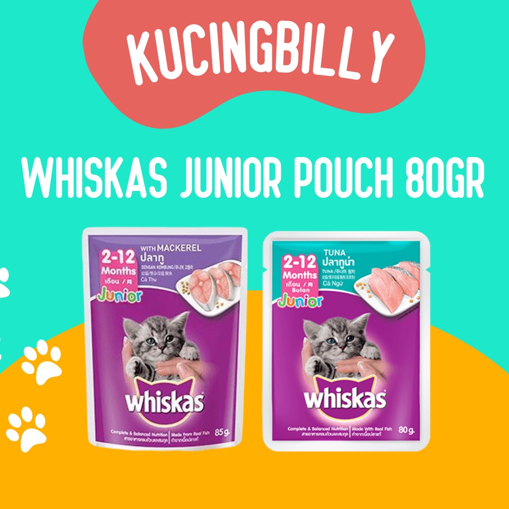 Jual Whiskas Junior Pouch 80gr makanan kucing Shopee Indonesia