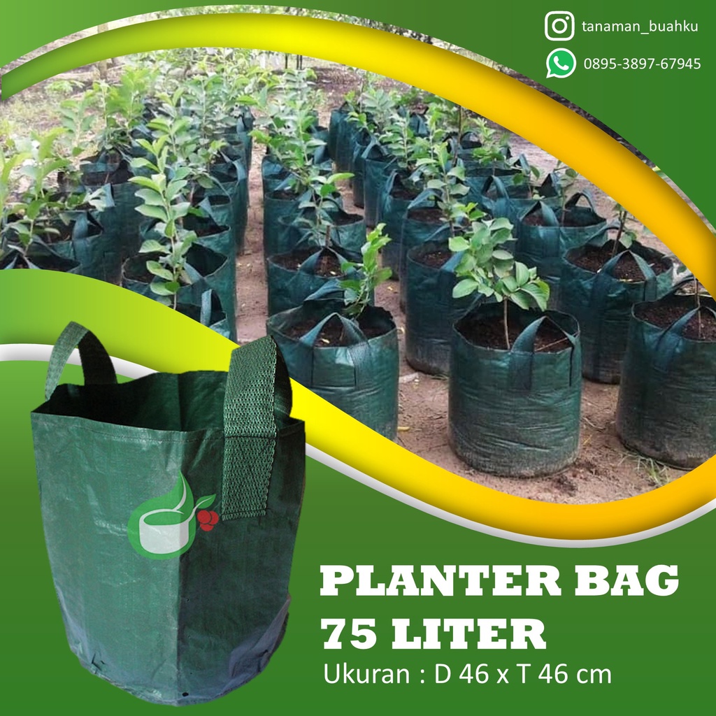 Jual Planter Bag 75 Liter Original Easy Grow Tambulampot Pot Ukuran
