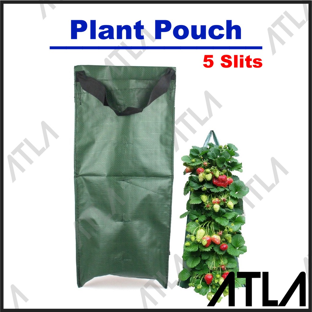 Jual Planter Bag Gantung Plant Pouch 5 Lubang Pot Bunga Wadah Tanaman