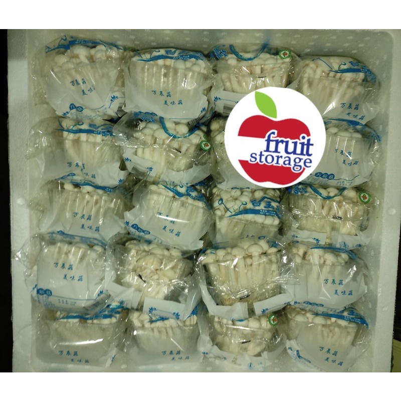 Jual Jamur Shimeji Import Fresh mushroom brown impor segar Shopee