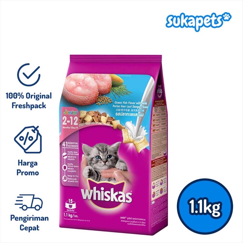 Jual whiskas dry food 1.1 kitten milk Shopee Indonesia