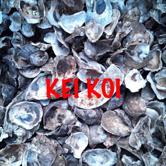 Jual Kulit kerang oyster shell media filter 1 kg Shopee Indonesia