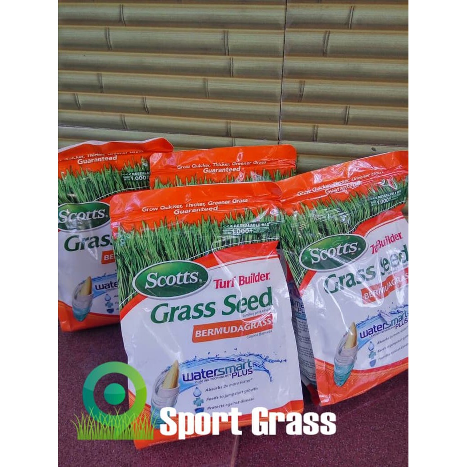 Jual Original Biji Rumput Scotts Turf Builder Bermuda Grass Per 500