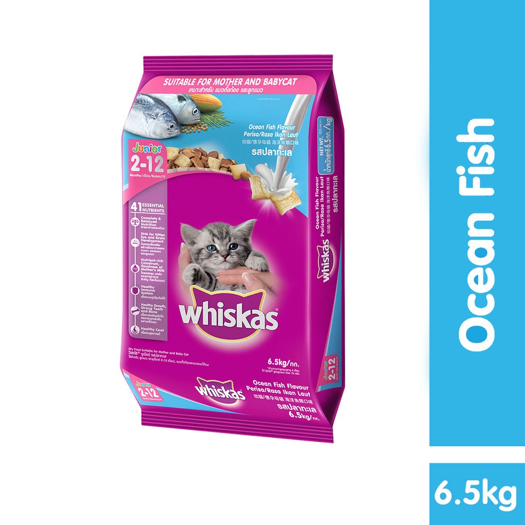Jual Whiskas Kitten Junior 212 Month Dry Food Ocean Fish With Milk