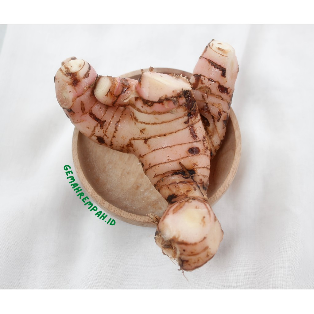 Jual Laos / Lengkuas / Laja / Lengkoas 1kg Shopee Indonesia