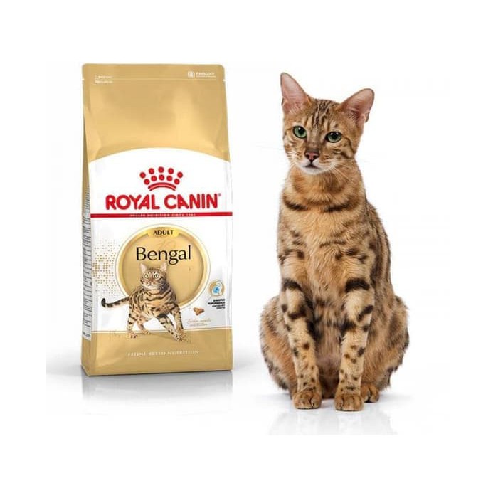Jual puffy petto royal canin bengal cat 2kgmakanan kering kucing ras