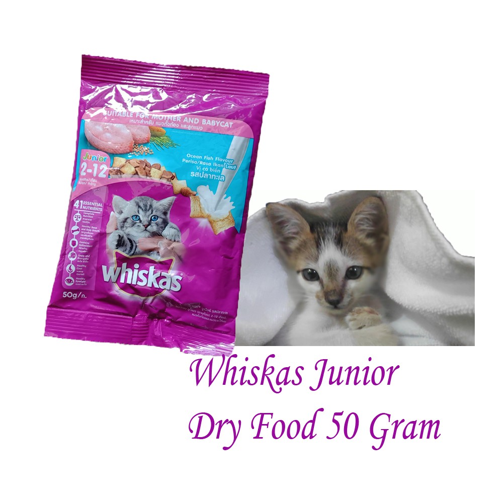 Jual Whiskas Junior Dry Food Ocean Fish Flavour With Milk 50 Gram