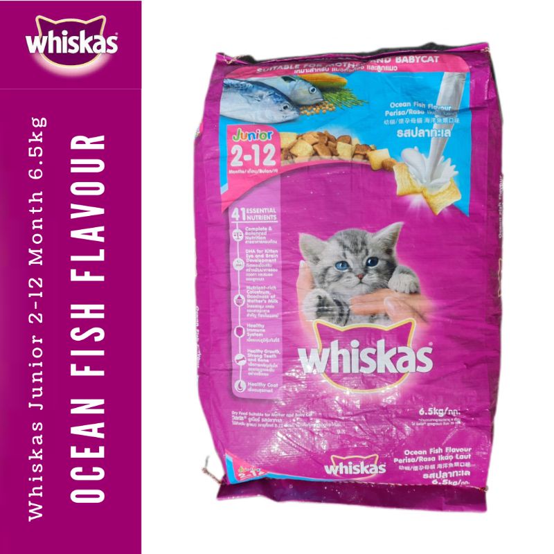 Jual Whiskas Junior Ocean Fish Flavor with Milk 6.5kg Makanan Anak