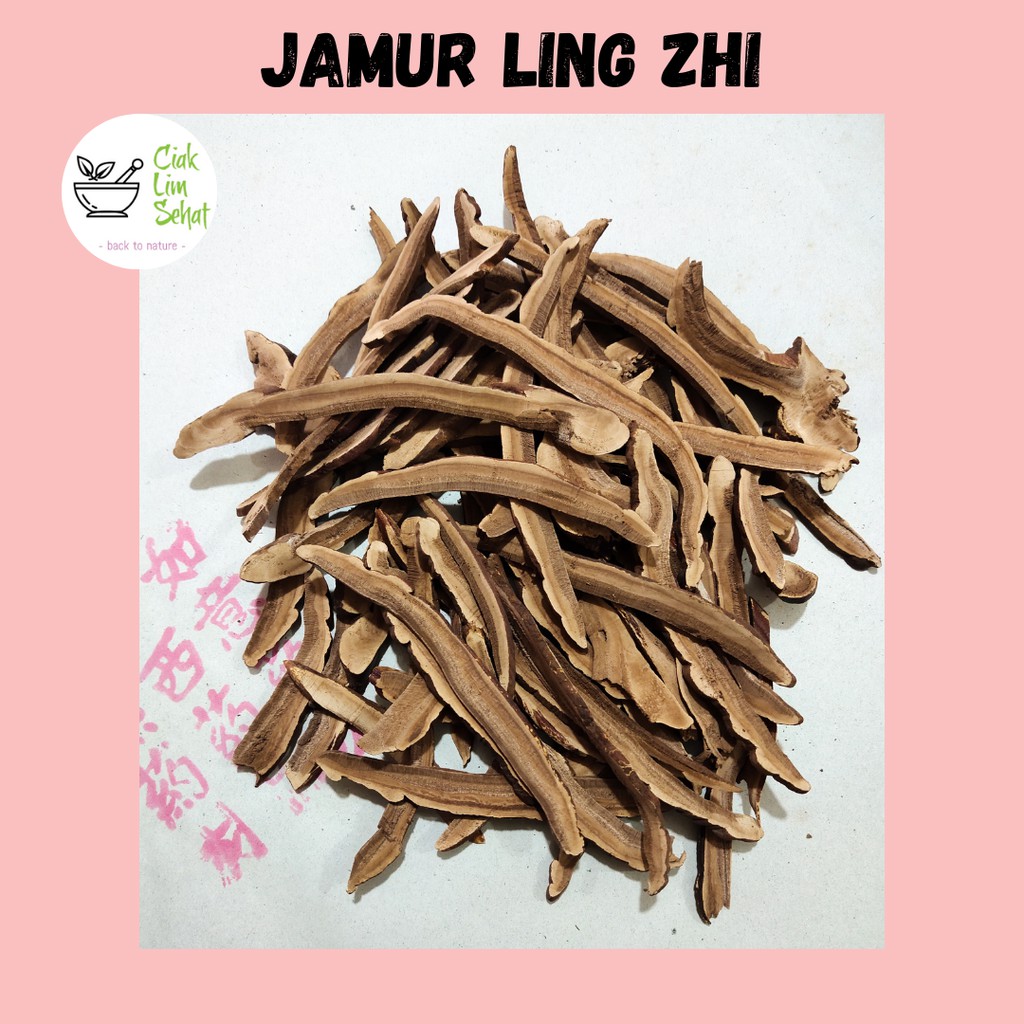 Jual Jamur Ling Zhi / Ling Ce (500 GR) Shopee Indonesia
