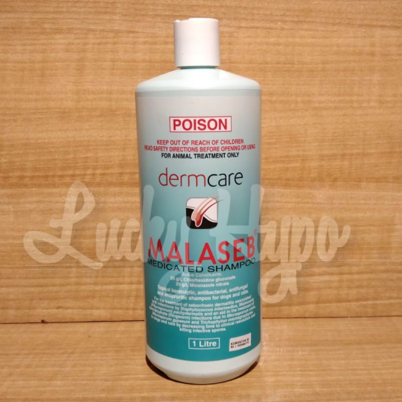 Jual Shampo Anti Jamur Anjing Kucing Dermcare Malaseb Medicated Dog Cat Shampoo 1 Liter Shopee