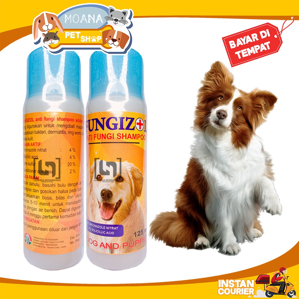 Jual Shampoo FUNGIZOL DOG Anjing Anti Jamur Scabies Fungi Kutu 125ml