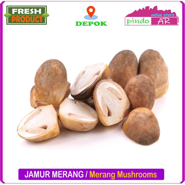 Jual JAMUR MERANG SEGAR / STRAW MUSHROOM FRESH Shopee Indonesia
