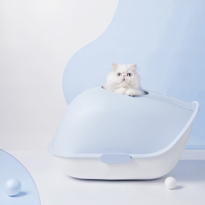 Jual FURRYTAIL Whale Cat Litter Box Shopee Indonesia