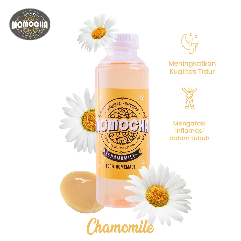 Jual MOMOCHA Kombucha Chamomile 250ml Shopee Indonesia