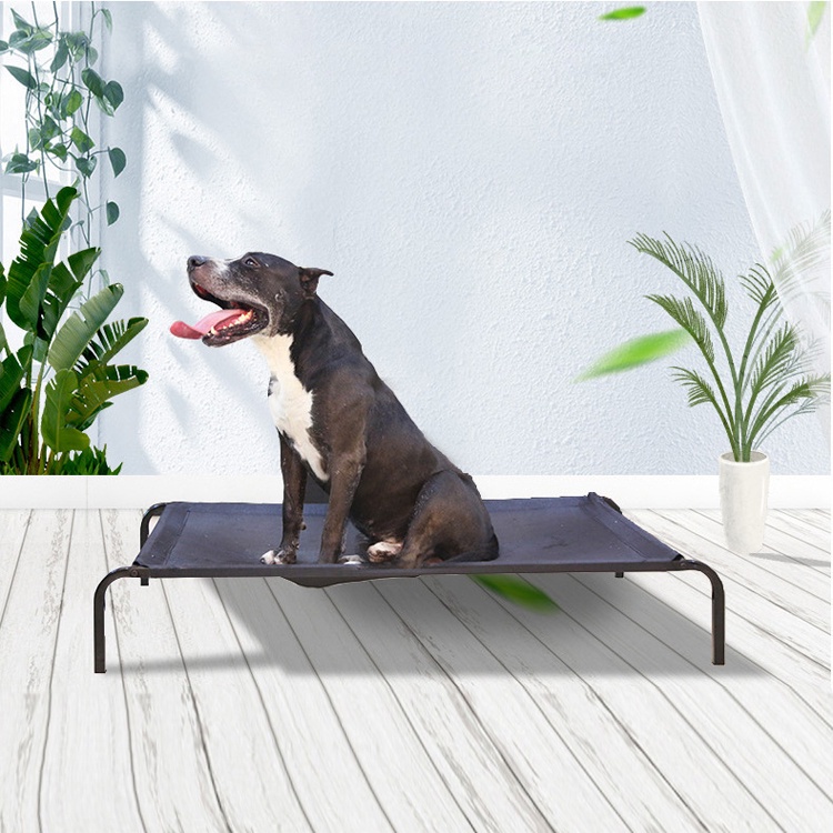 Removable and Washable Pet Camp Bed Dog Steel Frame Bed Breathable
