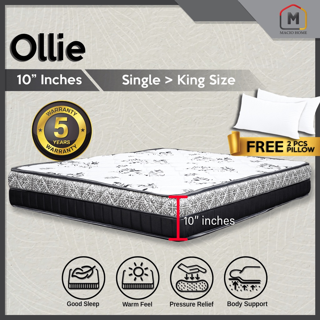 (Free Shipping + Free Pillow) Dr. Macio Molly & Ollie 10" Synthetic
