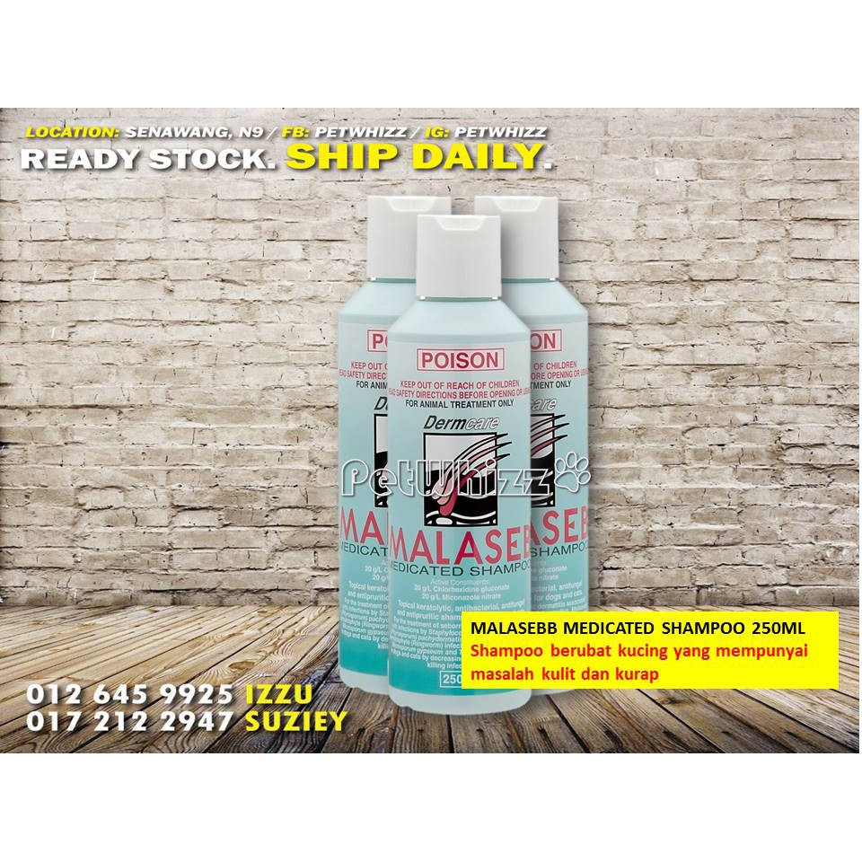 DermCare Malaseb Medicated Shampoo 250ML Shopee Malaysia