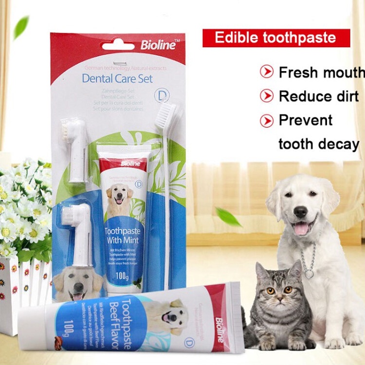 BIOLINE Cats & Dog Toothbrush Toothpaste Dental Care Set For Pet 100g