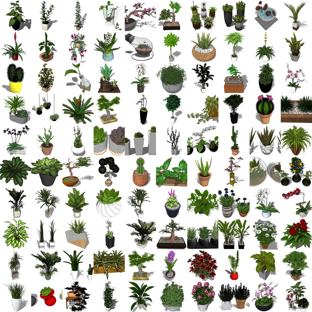 SketchUp 3D Model Plant, Shrub, Tree, Flower set 1209 for home interior design software