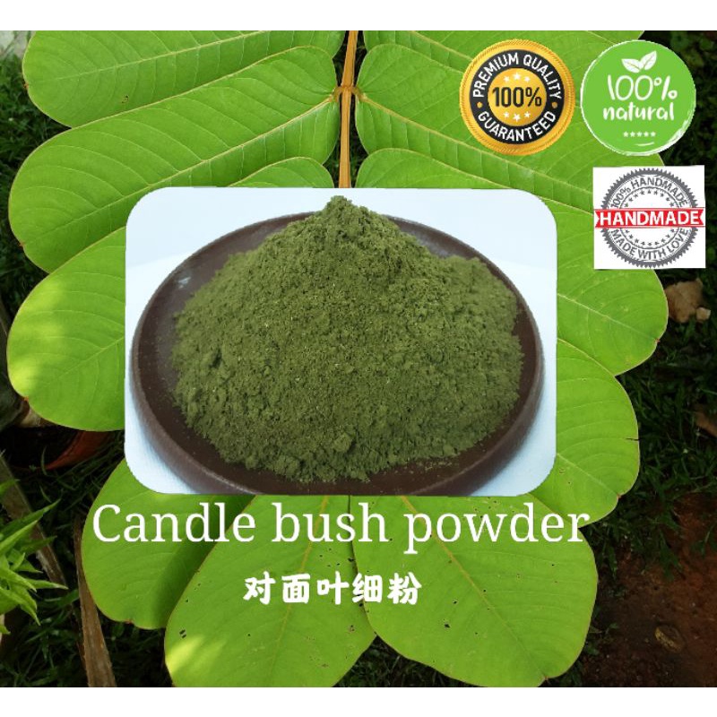 Candle Bush Powder ︎Serbuk daun Gelenggang ︎对面叶粉🔅Cryogenic grinding
