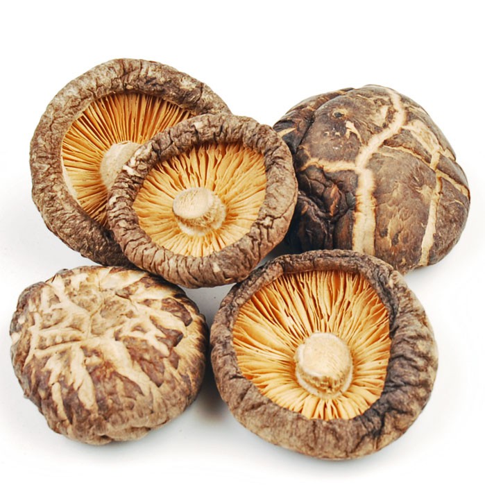 TEA FLOWER MUSHROOM AO 5cm 6cm (100g) / 精选AO 茶花菇 5cm 6cm (100g) Shopee Malaysia