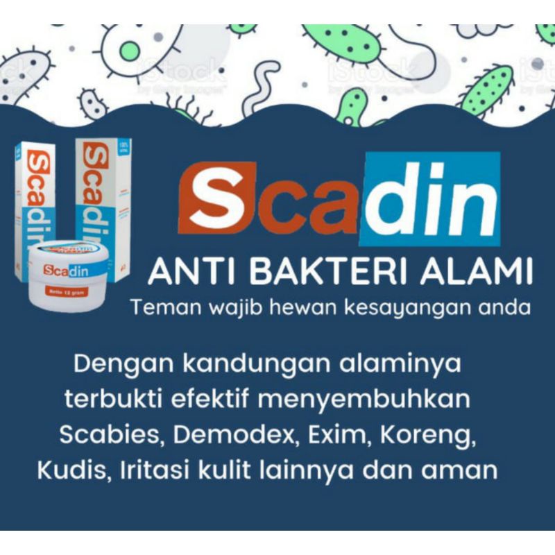 Scadin Ointment Cream Natural Natural Organic Spray Spray Anti Scabies