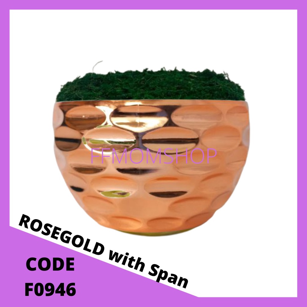 Premium Pasu Bunga Hiasan Plastik Metallic Gold Nordic Flower Pot