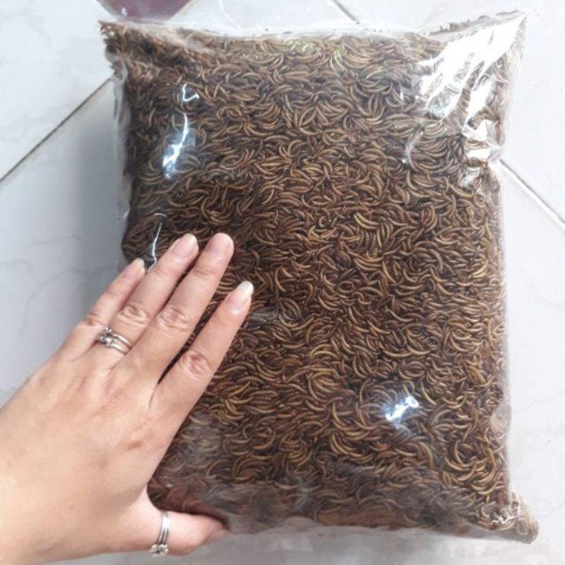 100g Dried Rice Worms For Chickens Dried Worms For Birds For Dried