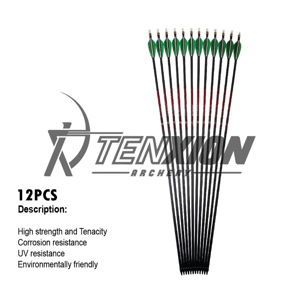 pLmX Black Eagle Rampage Easton Vanes SP 400 ID 6.2mm Pure Carbon Arrow