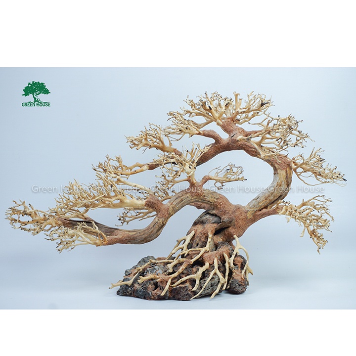 Stone Bonsai Driftwood Aquatic Driftwood Used To Decorate Aquariums
