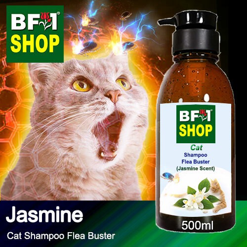 🐱🚿 Cat Shampoo Flea Buster (CSOCat) Jasmine 500ml cuci kucing kutu