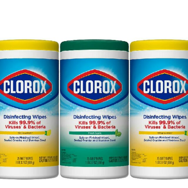 Clorox Disinfecting 75 wet wipes Shopee Malaysia