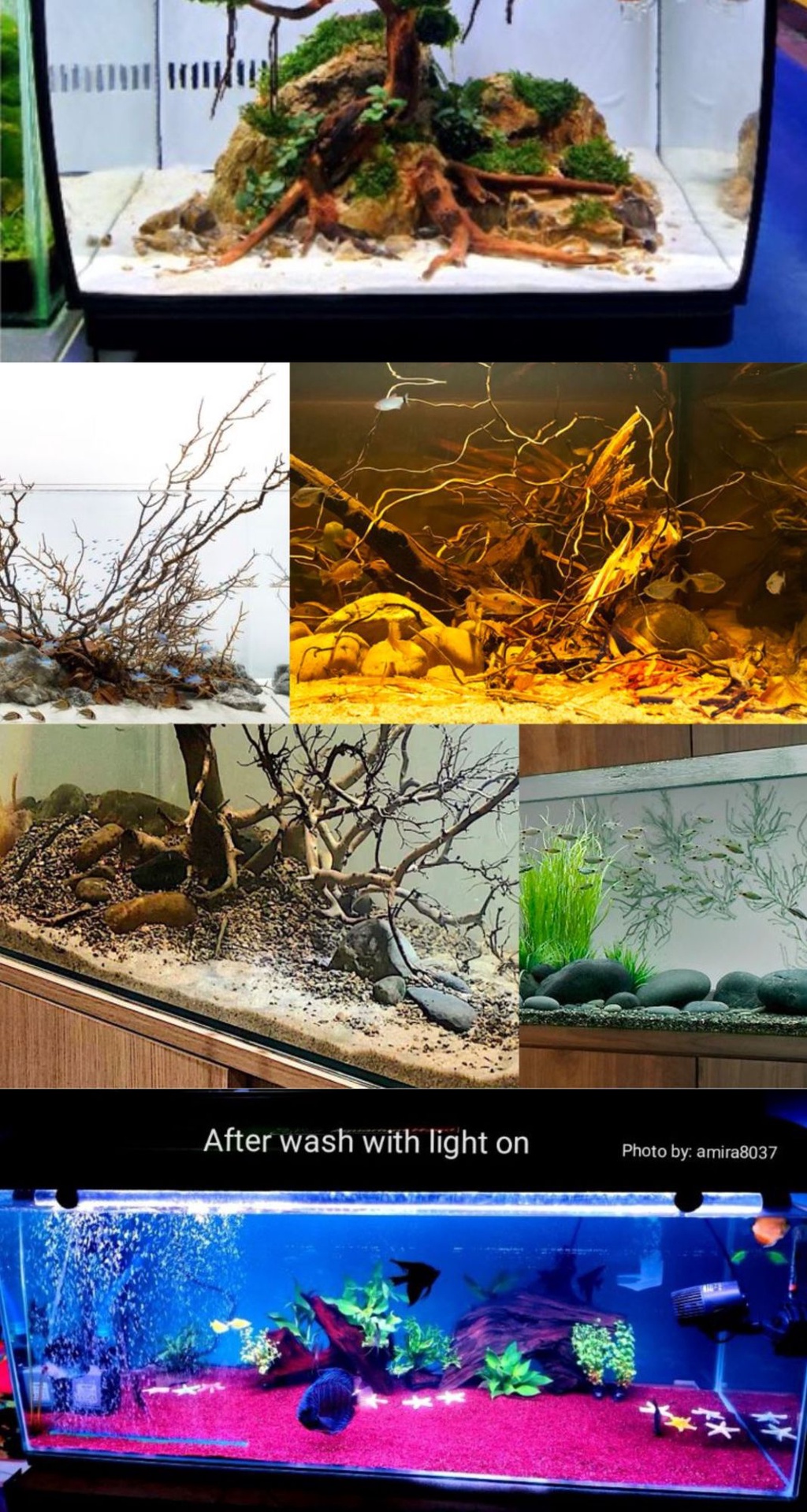 MOJAVE Substrate aquarium Sand Pasir Akuarium ikan Aquarium Fish Tank
