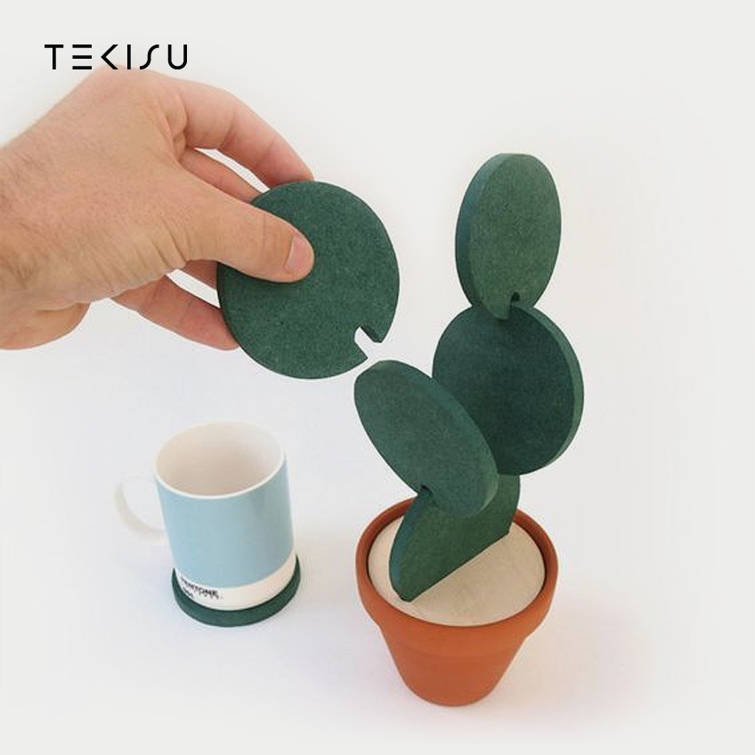 Tekisu Cactus Shaped Coasters and Bowl Placemat (Set of 6 with Pot