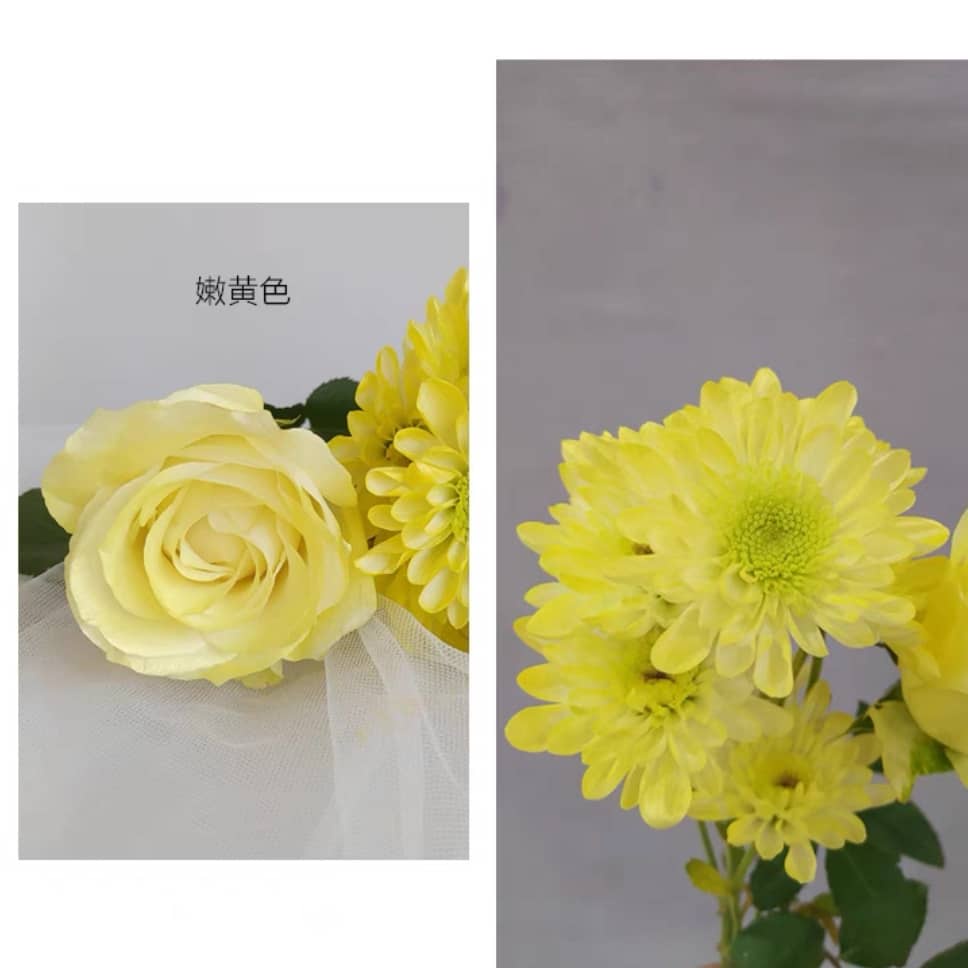 Floral Color Spray Flower Coloring Spray Pewarna Bunga 鲜花喷色剂 450ML