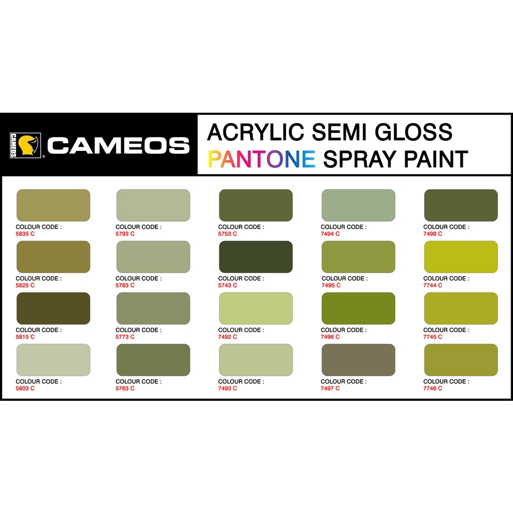 PANTONE Color P52 Aerosol Spray Paint CAMEOS 400ML/Bottle Shopee