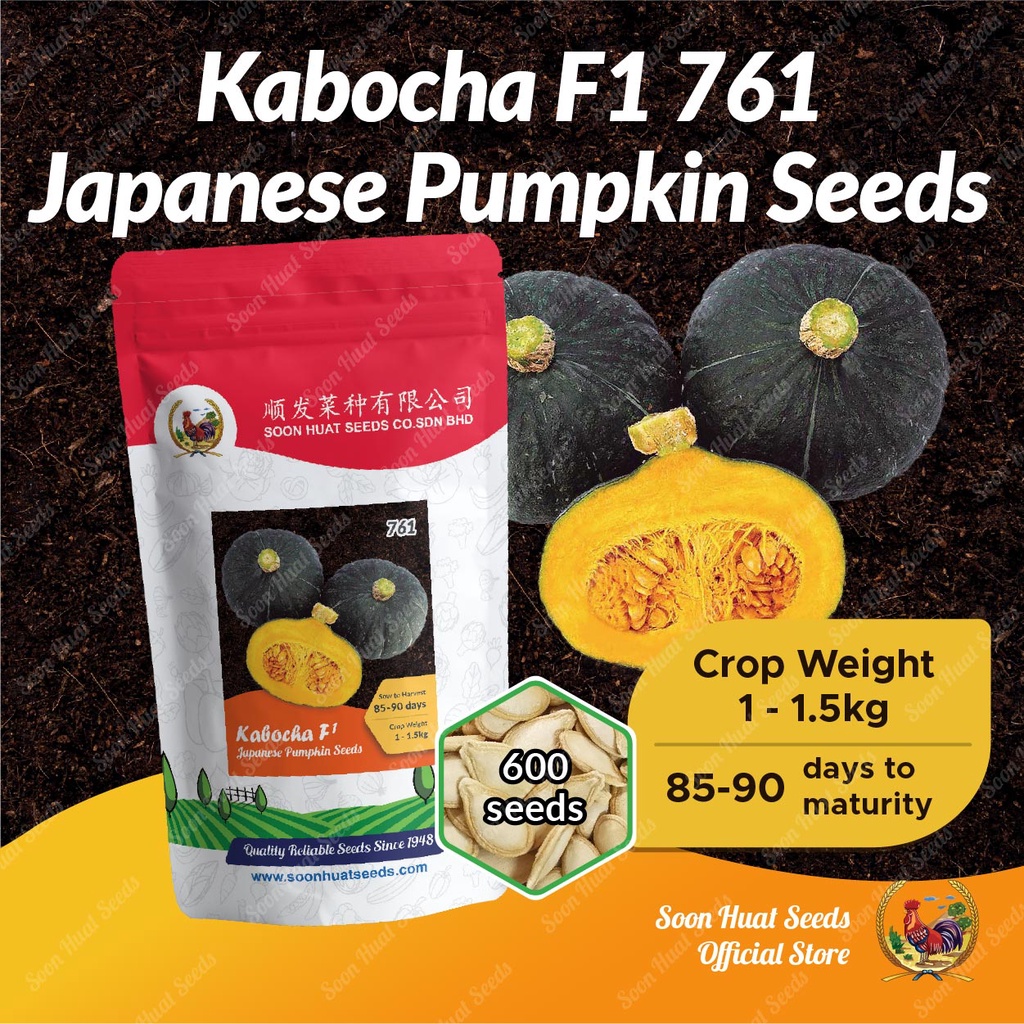 Benih Labu Manis Jepun Kabocha Squash Seeds F1 761 [100g] Soon Huat